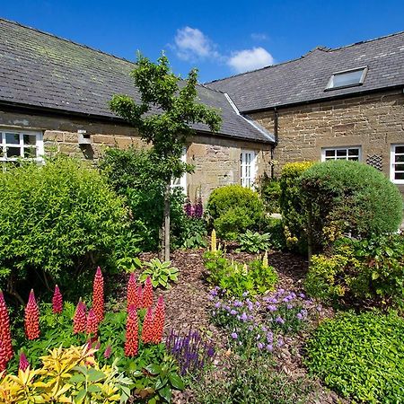 Home Farm B&B - Sunflower Room Forfar Exteriér fotografie