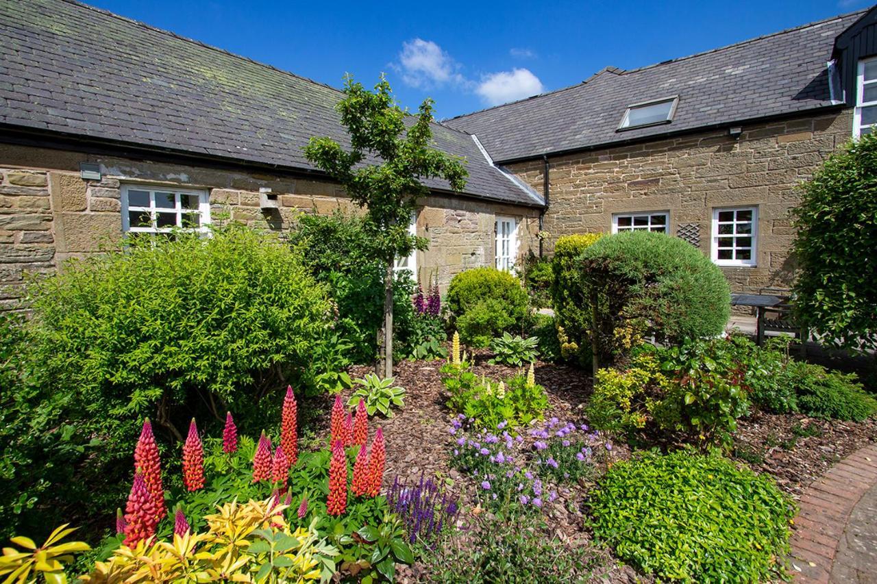 Home Farm B&B - Sunflower Room Forfar Exteriér fotografie